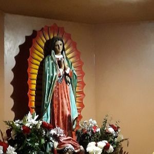 Meet your Posher, Junior